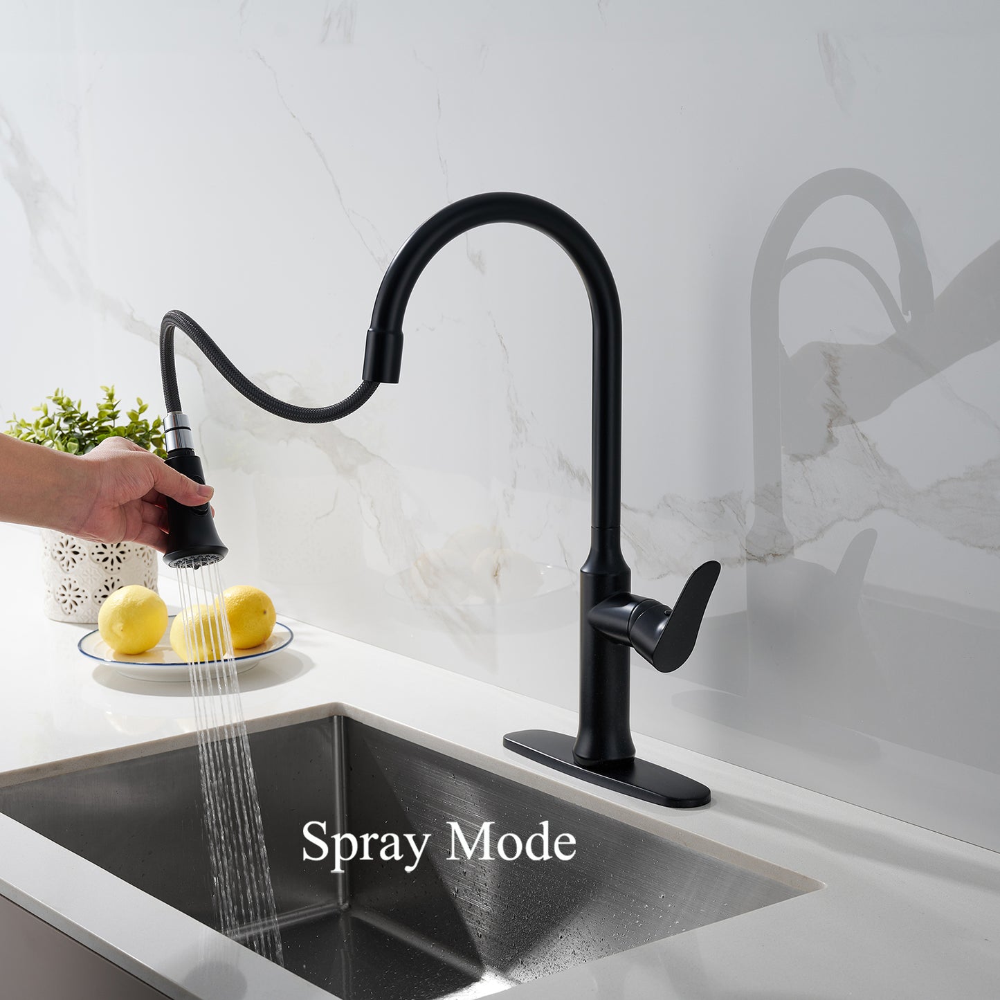 Matte Black Kitchen Faucet with Pull Out Sprayer