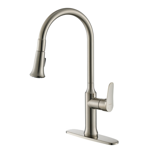 Brushed Nickel Kitchen Faucet with Pull Down Sprayer 