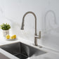 Brushed Nickel Kitchen Faucet with Pull Down Sprayer 