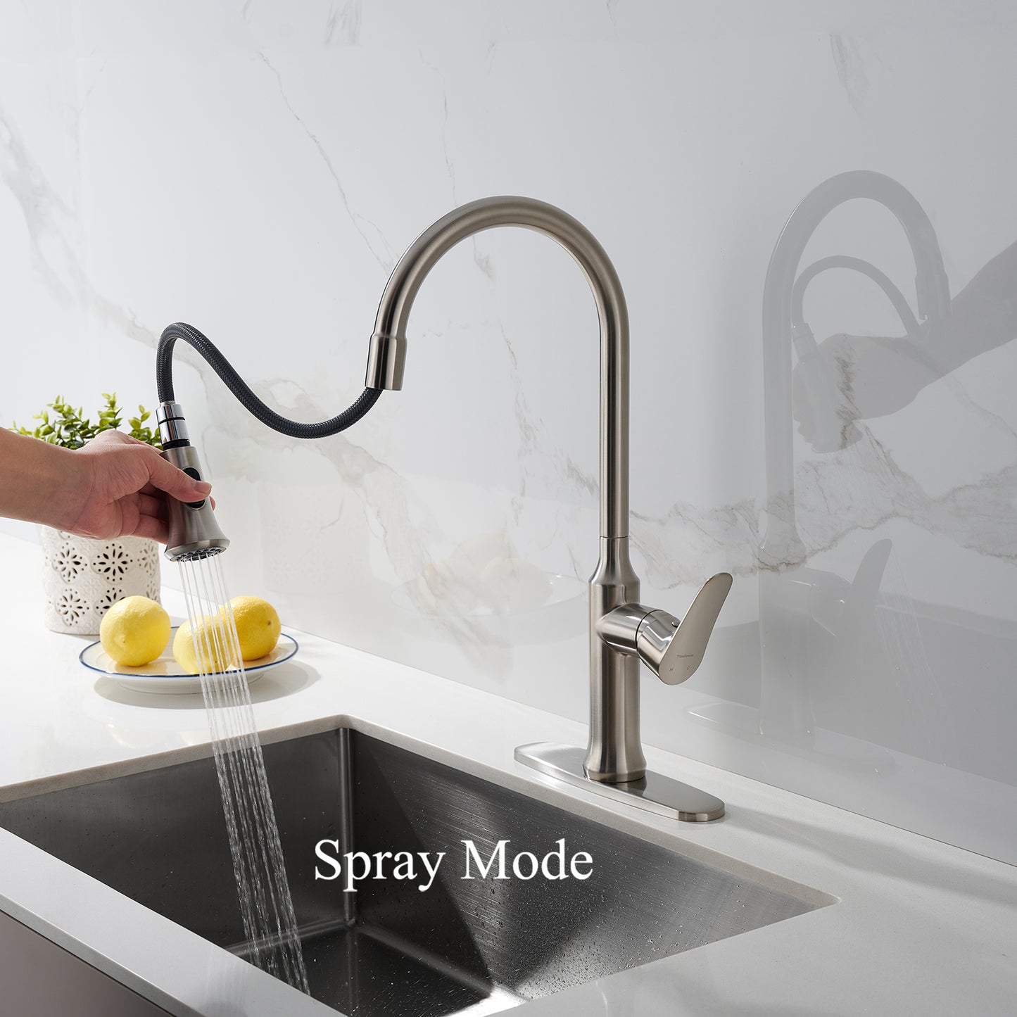 Brushed Nickel Kitchen Faucet with Pull Down Sprayer 