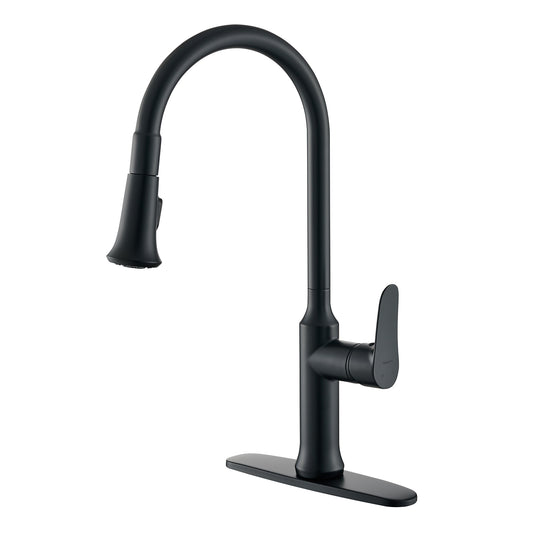 Matte Black Kitchen Faucet with Pull Out Sprayer