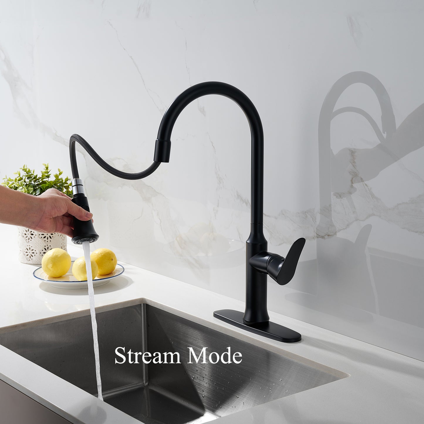 Matte Black Kitchen Faucet with Pull Out Sprayer